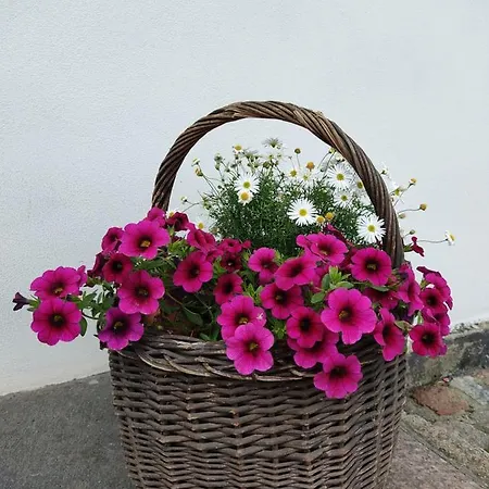 Lejlighed Agroturystyka Eltado